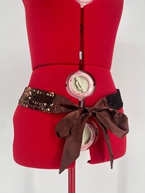 Y2K Brown Sequined Elasticated Satin Adjustable Tie Festival 2000s Style Belt